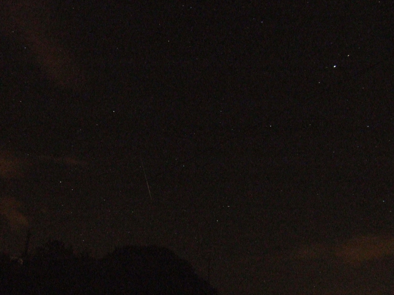 Perseid